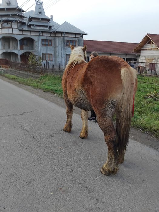 Vâd manz de un an și 5 luni