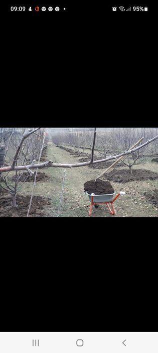 Livada mixtă 2600 mp cu foișor și fântână- Ciprian Porumbescu