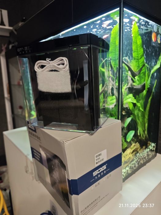 Аквариум за рибка бета (Beta)