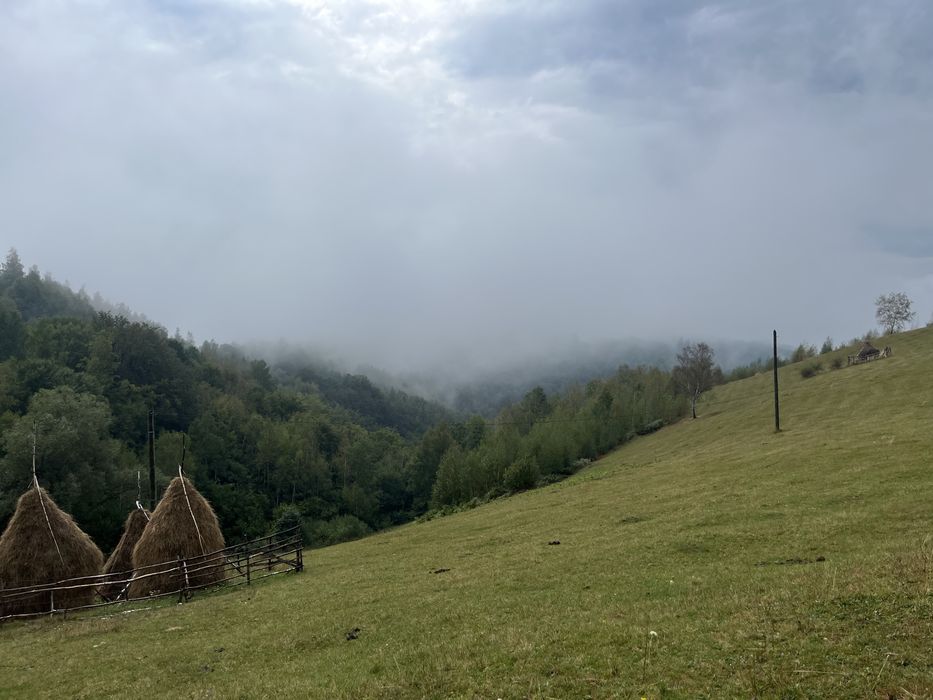Vând teren în satul Târsa