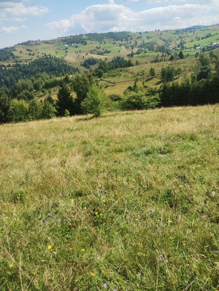 Teren de vânzare Maguri