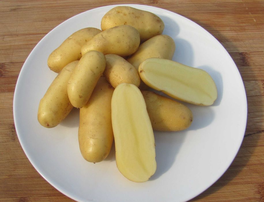 Cartofi Ambrine Francezi: Ideali pentru Salate și Rumenire la Cuptor!