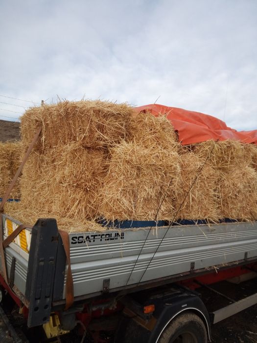 Baloți mici paie grau -orzoaica corbu cta transport ccost