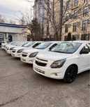 Cobalt Midnayt Qora dsika Yengi 2025 Yil