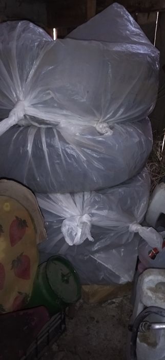 Комплект зимних шин Triangle Snow Lion