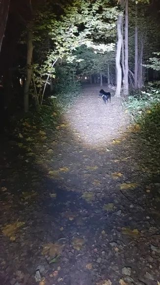 Lanterna cu Led XHP99 cu 9 nuclee,  Pescuit,  Vanatoare,  Camping