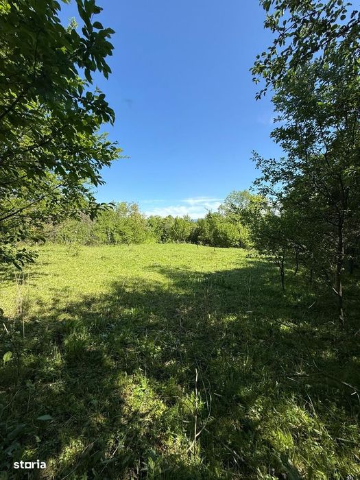 Poiana Câmpina - teren intravilan 3429mp - 50000 Euro