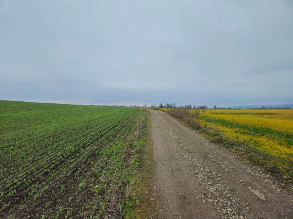 Teren Ciritei - Piatra Neamț- intravilan