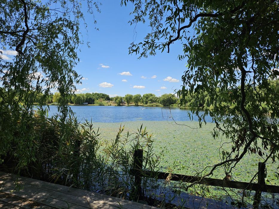 Casa cu teren - deschidere directa la lacul Corbeanca