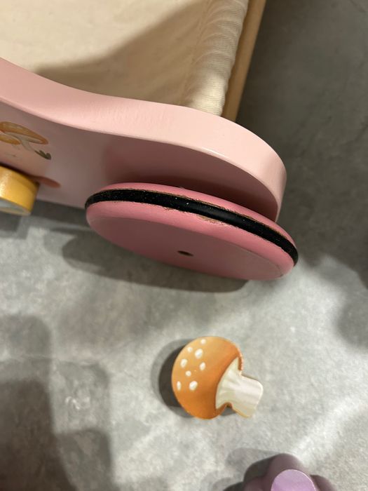 Уокър - проходилка little dutch