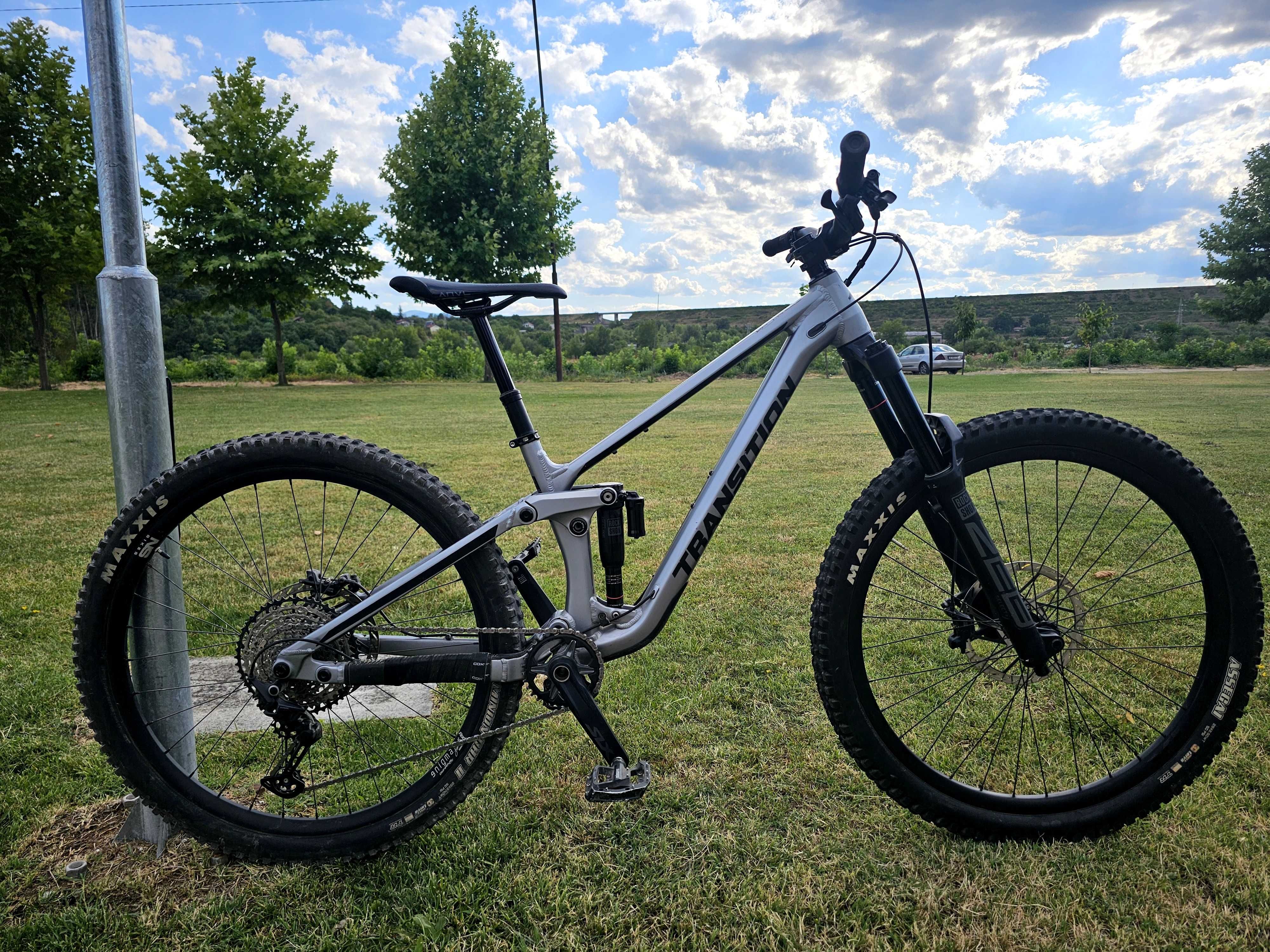 Transition Sentinel 29"
