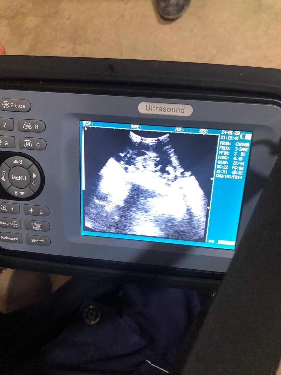 Xayvonlarning uzi aparati, ultrasound, узи
