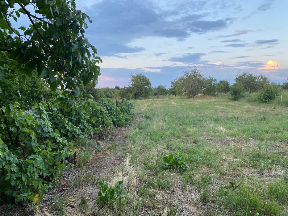 Imobiliare de Vanzare casa