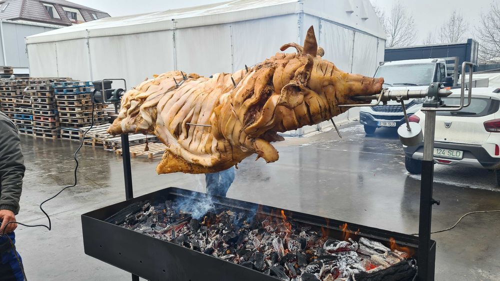 Vand Rotisor electric / Protap cu motor in Bucuresti-Ilfov