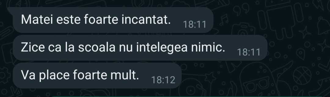 MEDITAȚII : Limba și literatura română