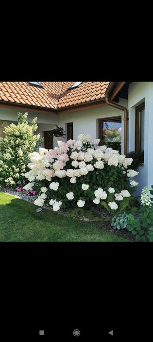 Gullar ekish xizmati