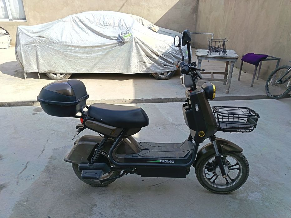 Sukutr sotiladi yangiday