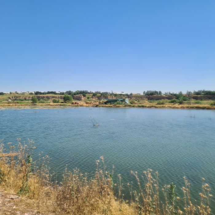 Ташморе идеальное место для туризм бизнеса