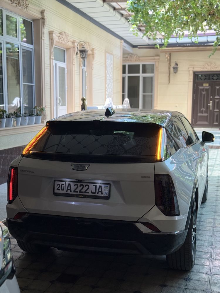 Cadilac Optiq Long
