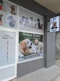 Frizerie canina-salon canin