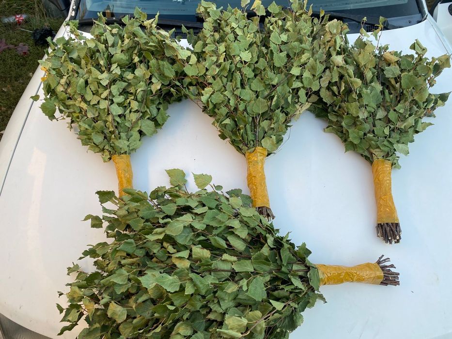 Веники березовые