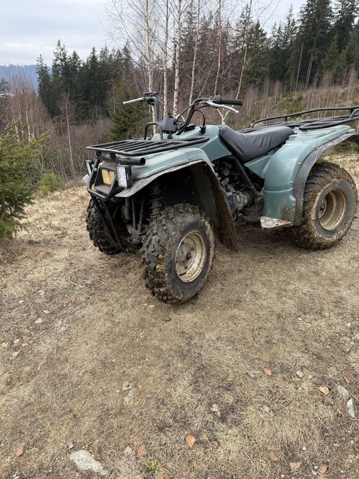 Yamaha Timberwolf 250 cc