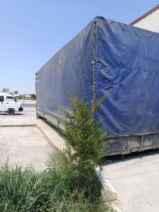 Tentli kuzaf sotiladi..!