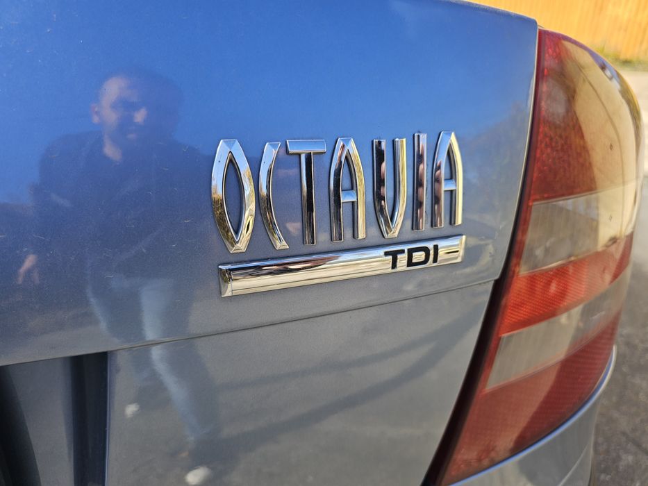Skoda Octavia 2, 2008, 1.9 TDI 105CP, unic proprietar România