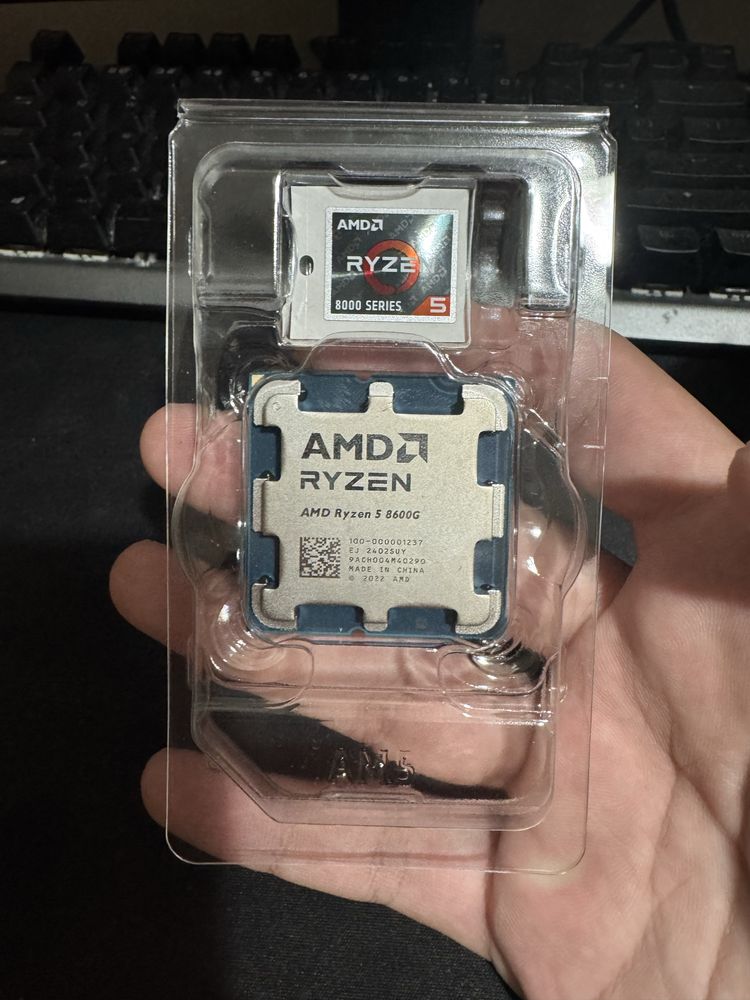 AMD Ryzen 5 8600G
