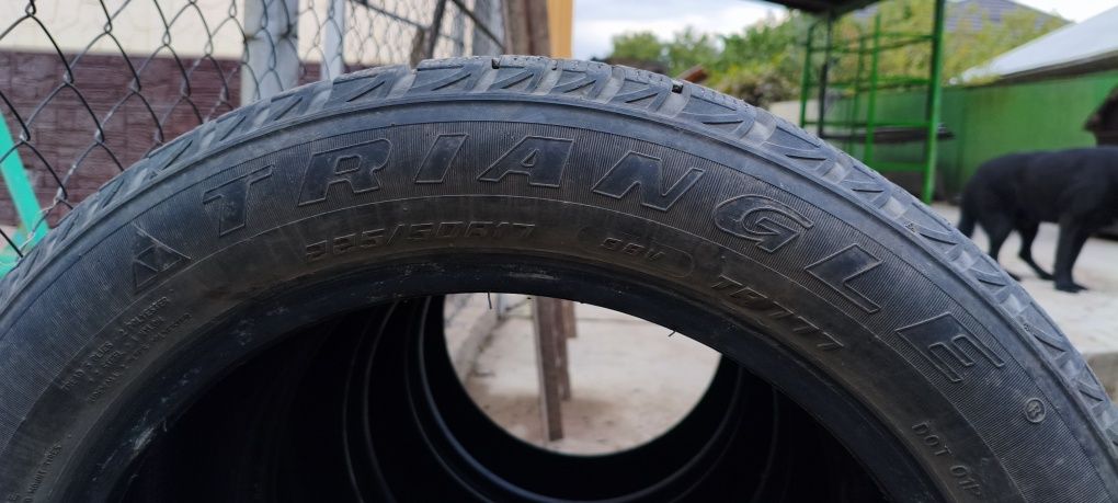 Продам зимнюю резину Triangle