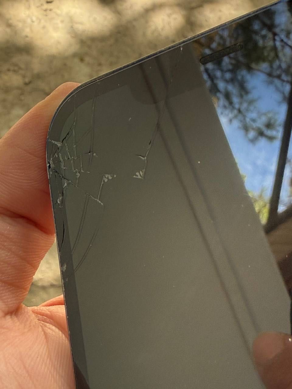 iPhone 12 pro max