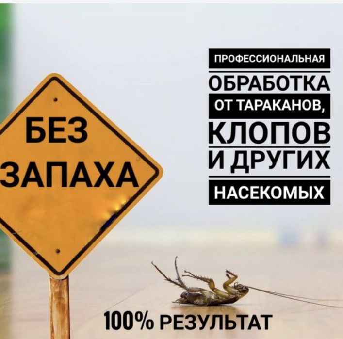 Дезинфекция! Уничтожение термиты/тараканы