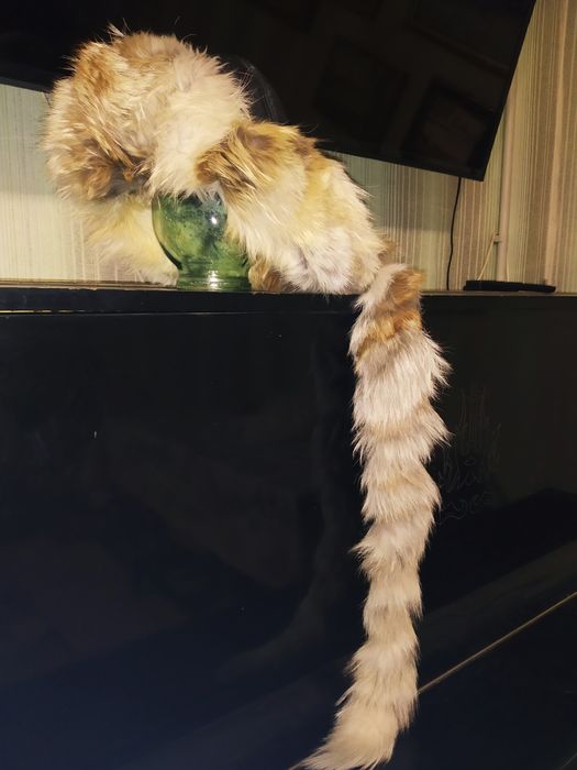 Продам шапку малахай из лисы женский