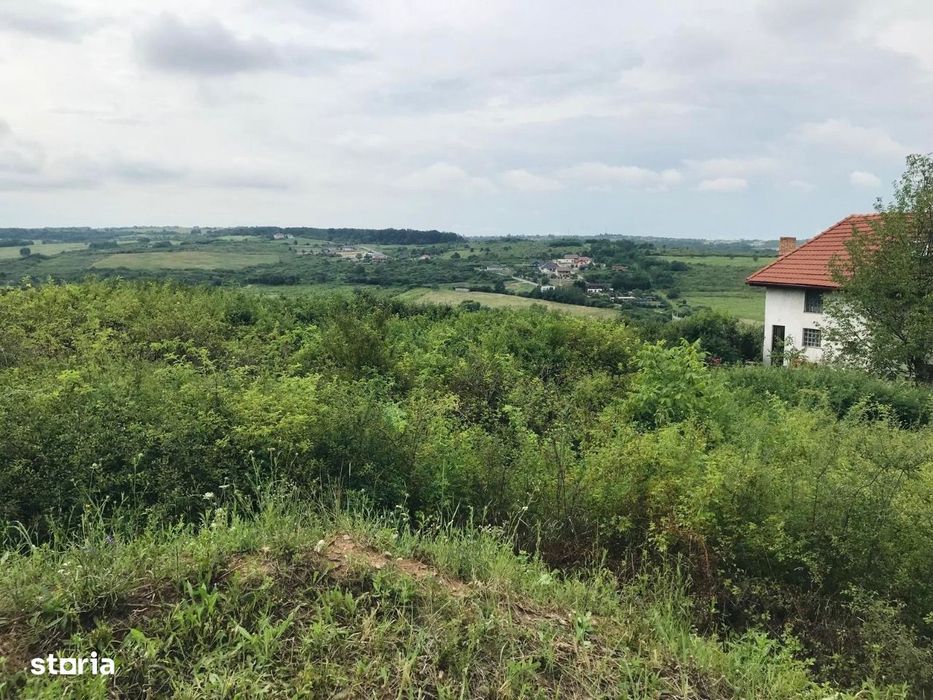 Teren intravilan de vanzare, in Paleu, 504 metri pătrați!