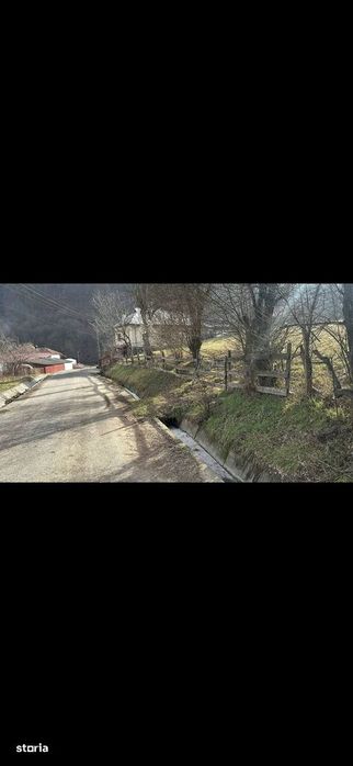 Teren la Mihaiesti , gaz , apa , curent