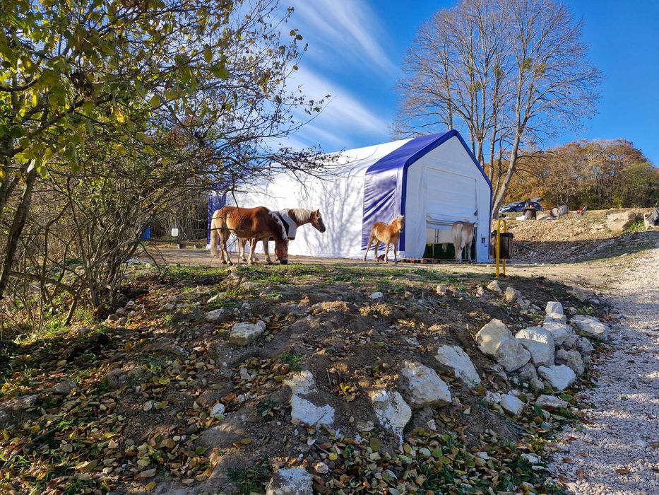 Продава се Склад в Варна, Бриз - 72 кв.м за 50 €/кв.м - Снимка #1