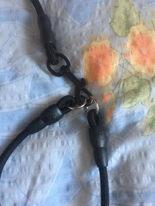 Lesa de caini foarte rezistenta