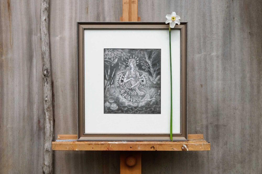 Эксклюзивная авторская картина карандашом "Русалка" (графика)