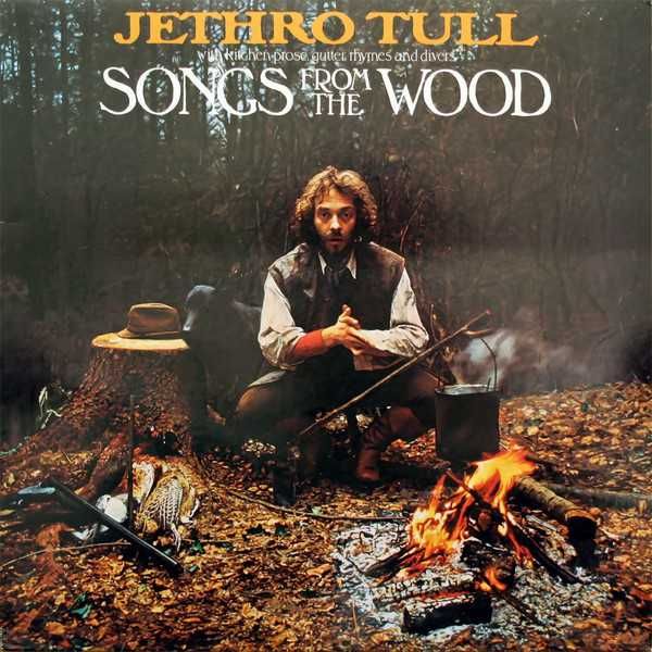 Виниловые пластинки Jethro Tull