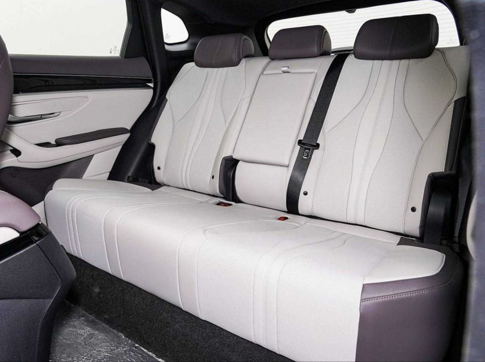 Byd chempion 2026 smart