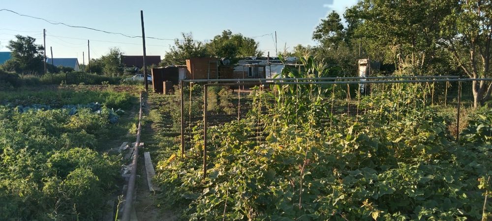 Продам дачу общество сокол