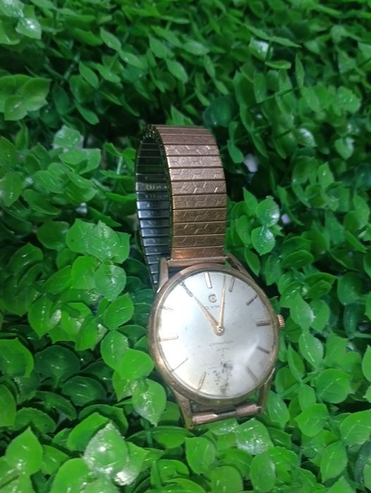 Сума Swiss Jewels позлатен часовник - 99 лв