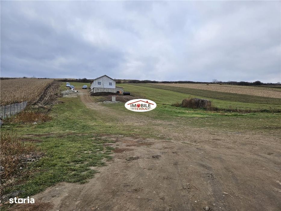 Teren intravilan pentru casa la Sura Mare