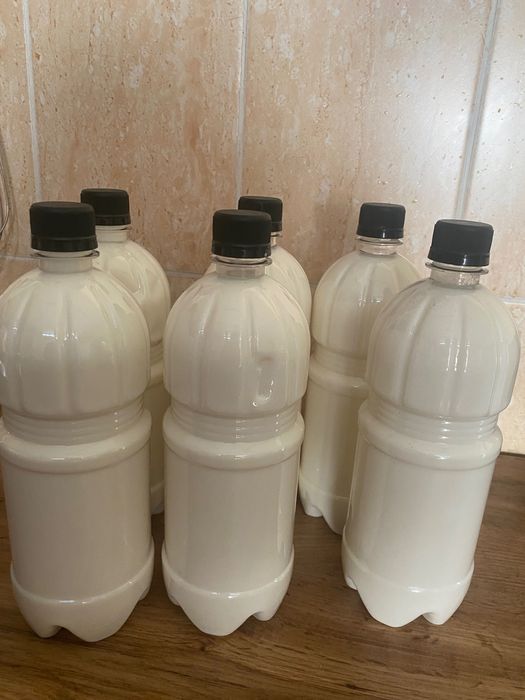 Продаю натуральное козье молоко