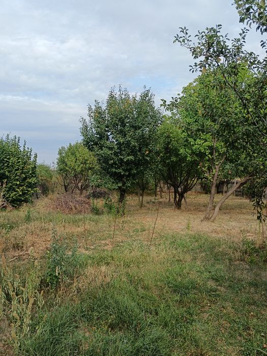 Vând casa cu teren 1000 m2