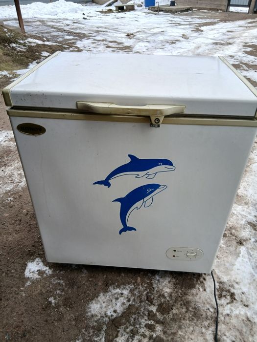 Морозильник с  доставкой.