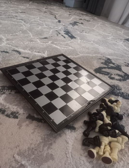 Магнитные шахматы