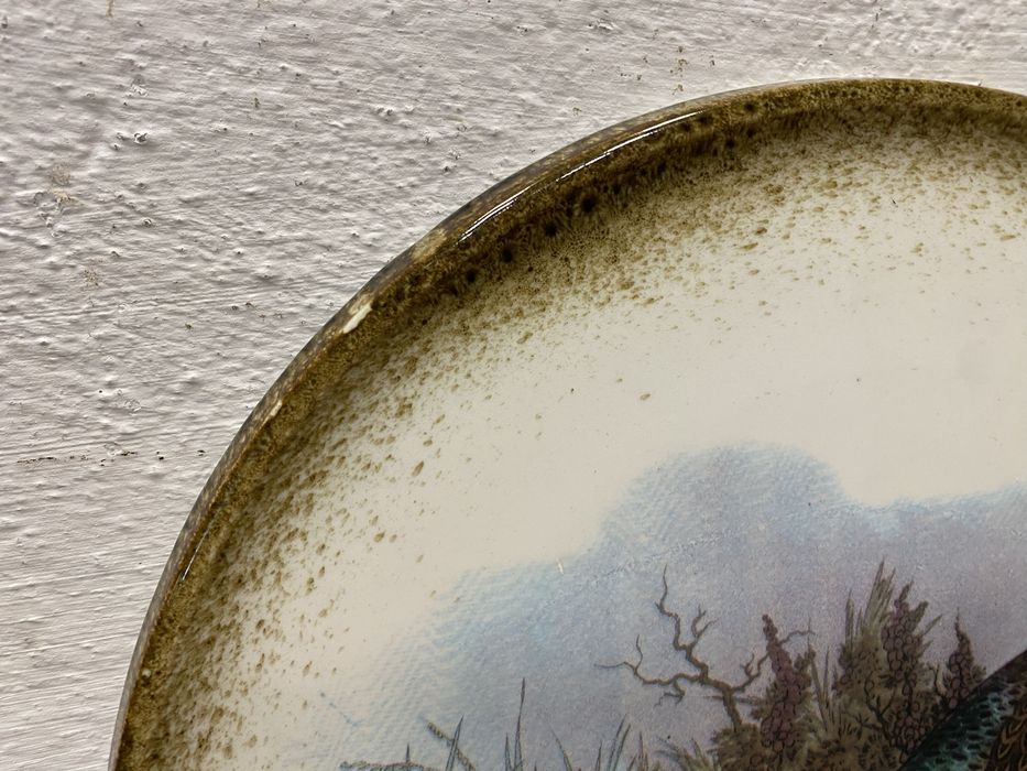 Винтидж италианска чиния с фазан Ceramica VARM 1980 г