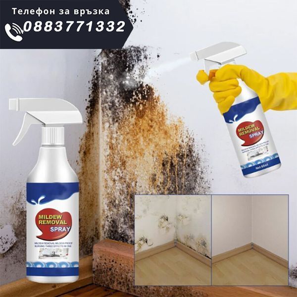 Средство за премахване на мухъл и плесен с дълготраен –MoldWallRemover