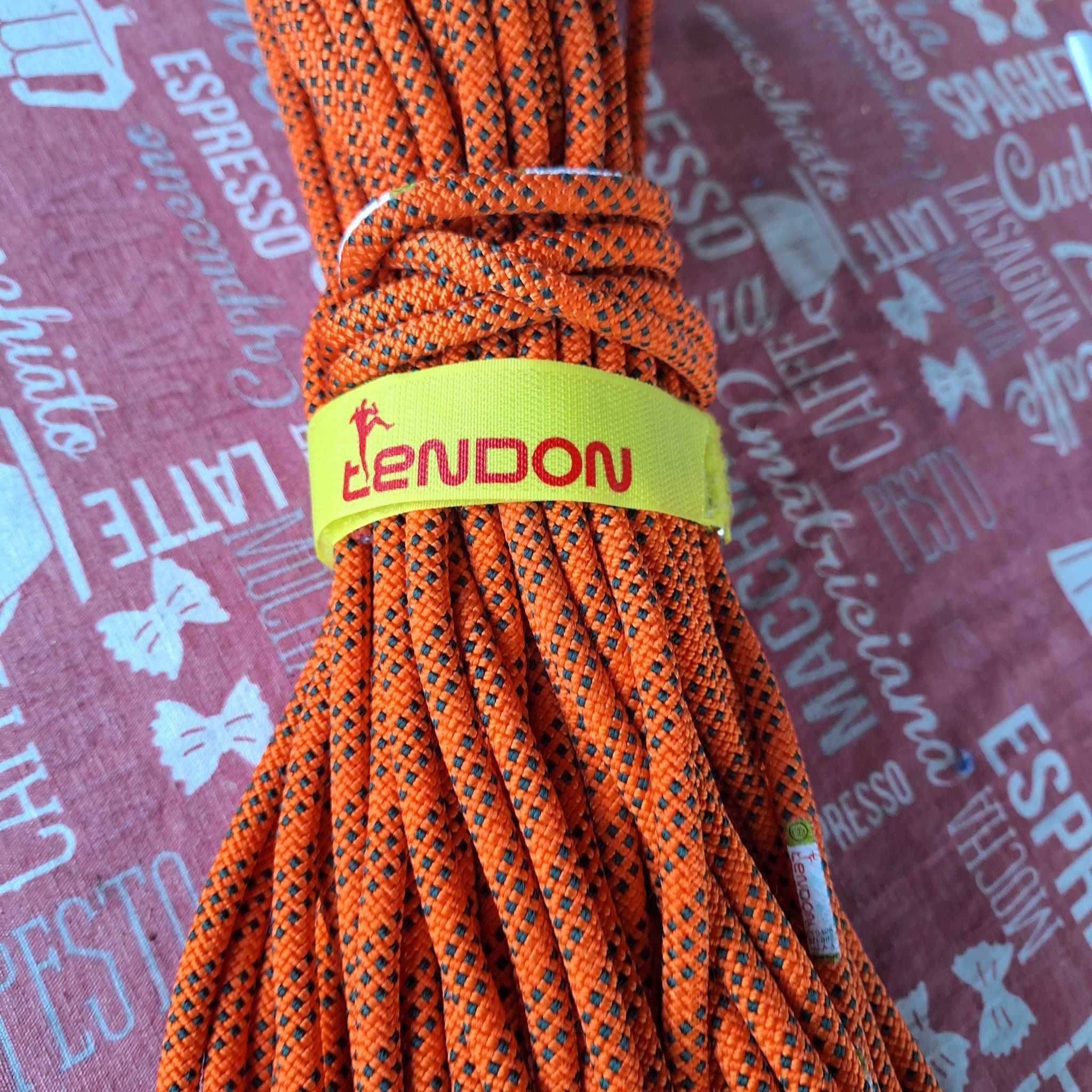 Cordelina Tendon